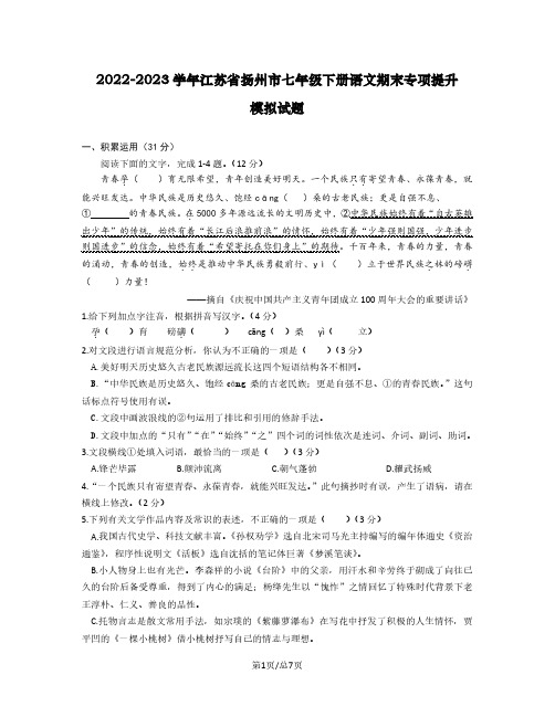 2022-2023学年江苏省扬州市七年级下册语文期末专项提升模拟试题