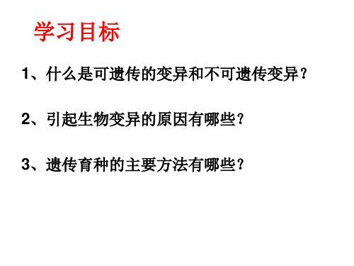 人教版八年级生物下册第七单元生命的延续和发展第二章生物的遗传和变异第五节生物的变异课件(36张ppt)