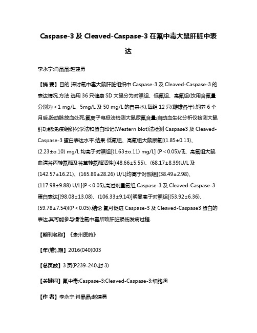 Caspase-3及Cleaved-Caspase-3在氟中毒大鼠肝脏中表达