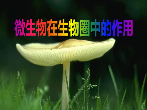 《微生物在生物圈中的作用》PPT