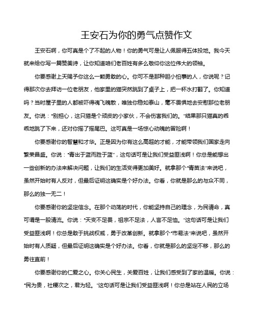 王安石为你的勇气点赞作文