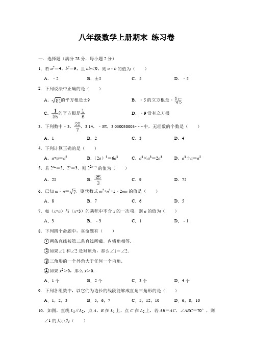 华师大版八年级数学上册期末练习卷(含答案)