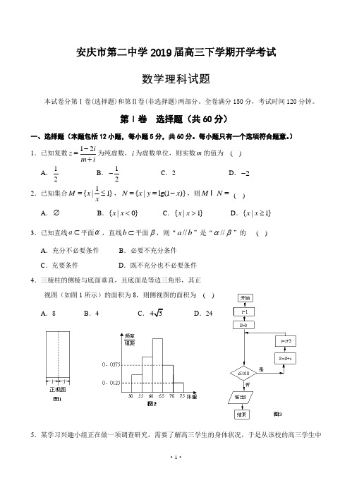 安徽省安庆市第二中学2019届高三下学期开学考试 数学(理)