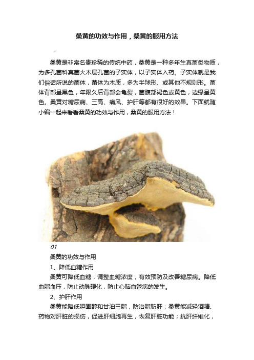 桑黄的功效与作用，桑黄的服用方法