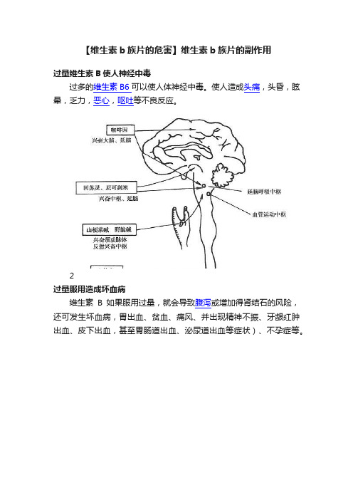 【维生素b族片的危害】维生素b族片的副作用