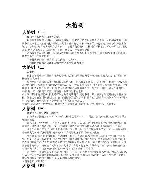 大榕树作文共九篇