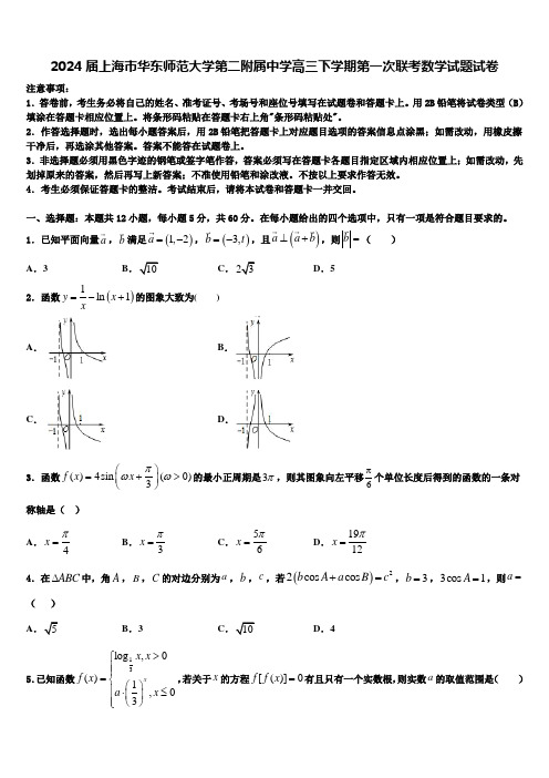 2024届上海市华东师范大学第二附属中学高三下学期第一次联考数学试题试卷