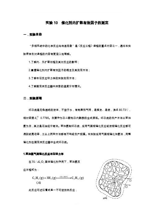 催化剂有效因子实验讲义