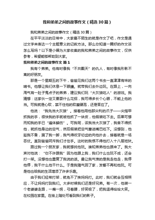 我和弟弟之间的故事作文（精选30篇）