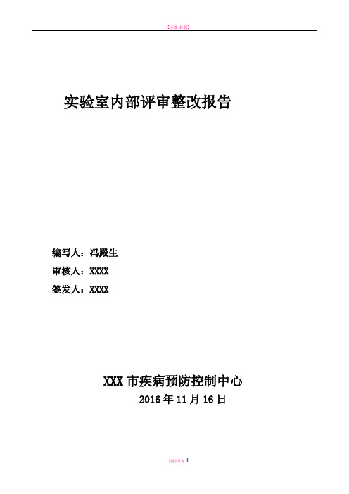 实验室内部评审整改报告