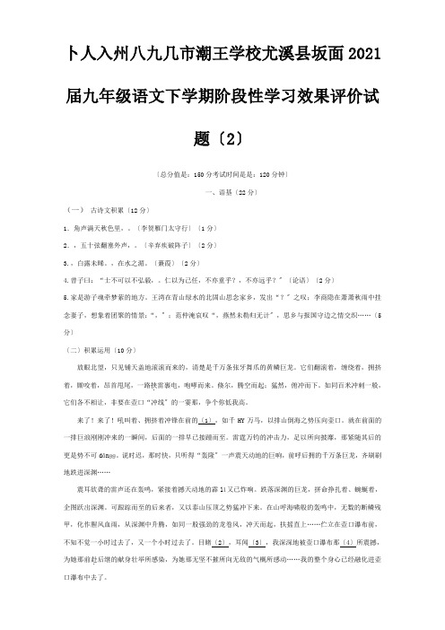 九年级下学期阶段性学习效果评价试题2 试题