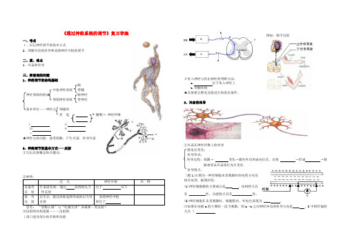 高考生物 通过神经系统的调节复习学案 新人教版必修3