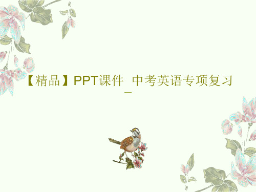 【精品】PPT课件  中考英语专项复习PPT文档共21页