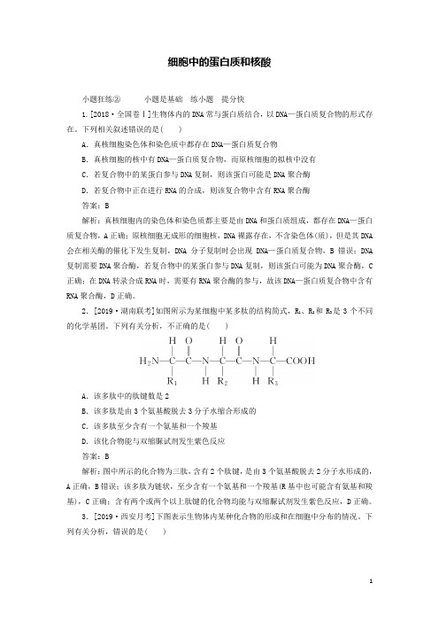 高考生物复习题细胞中的蛋白质和核酸含解析