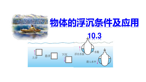 物体的浮沉条件及应用物理人教八年级下册精品课件