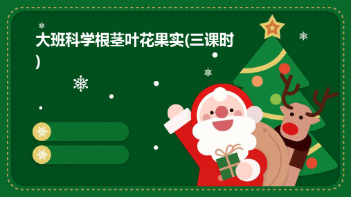 大班科学:根茎叶花果实(三课时)