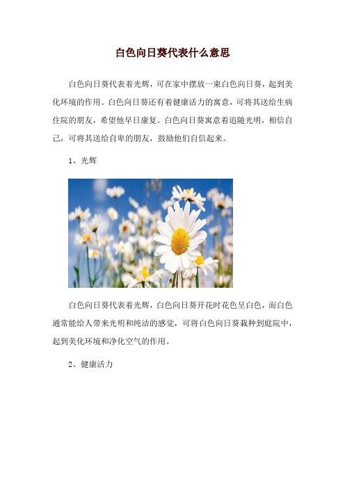 白色向日葵代表什么意思