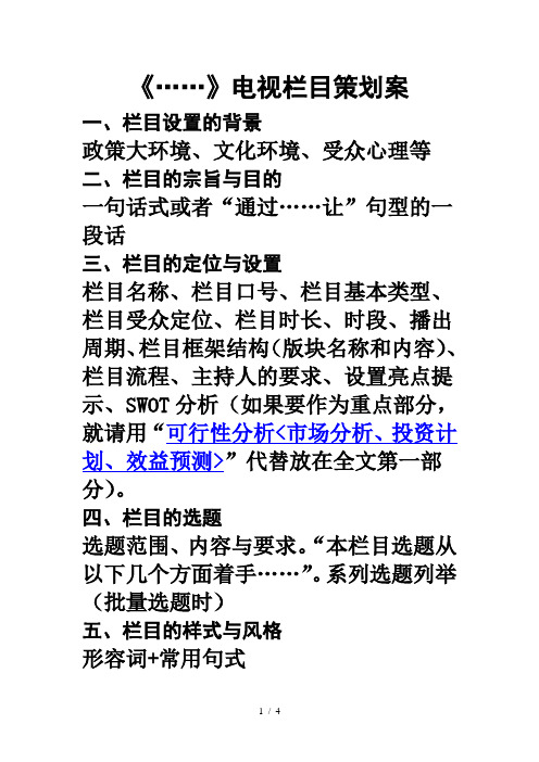 电视栏目策划案格式大纲