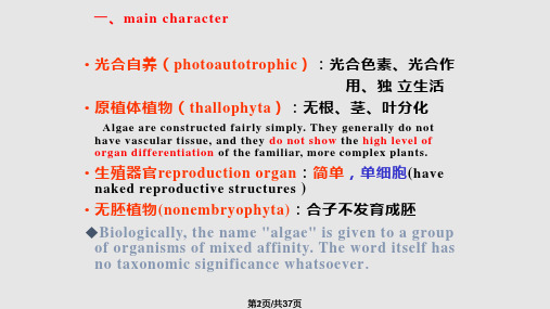 植物界基本类群与分类PPT课件