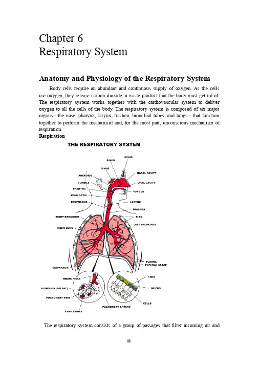 医学专业英语上册(第六章)chapter 6 respiratory system