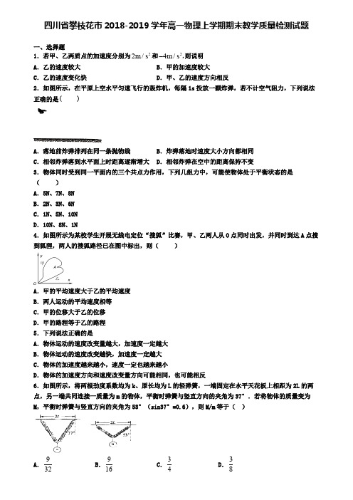 四川省攀枝花市2018-2019学年高一物理上学期期末教学质量检测试题