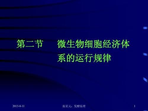 4.第四章 发酵学第三假说(2)