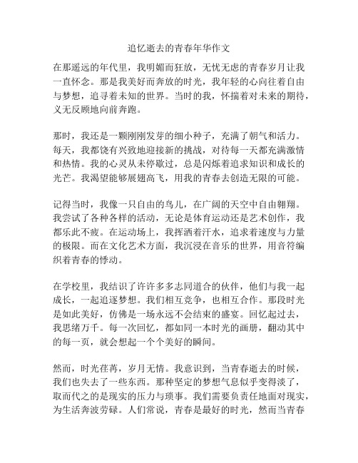 追忆逝去的青春年华作文