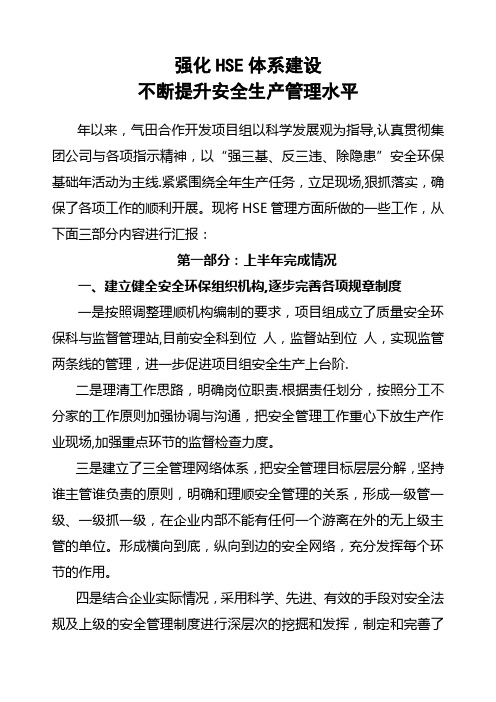 HSE标准化管理汇报材料