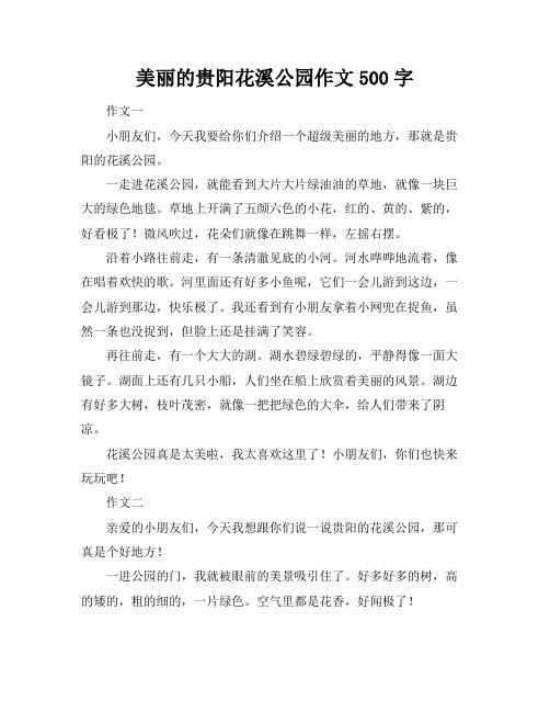 美丽的贵阳花溪公园作文500字