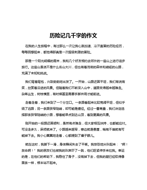 历险记几千字的作文