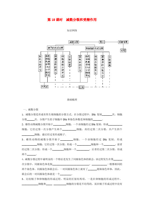 高考生物一轮复习 第18课时 减数分裂和受精作用精品学案