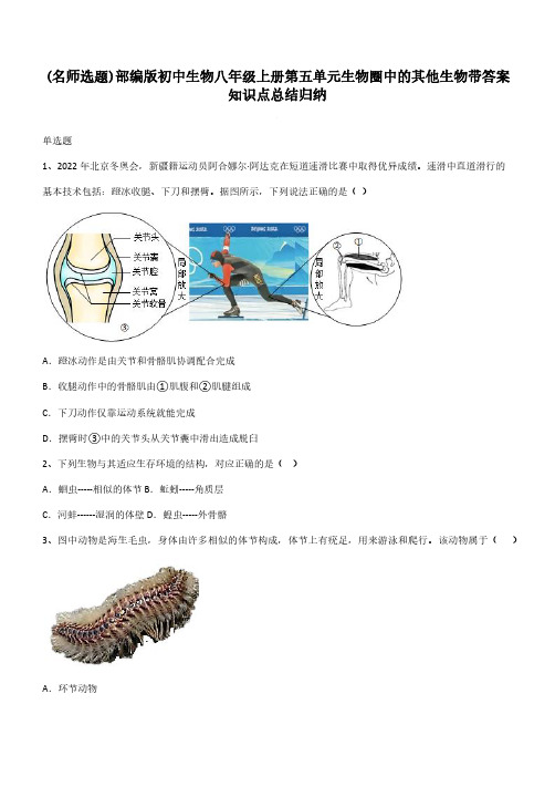 部编版初中生物八年级上册第五单元生物圈中的其他生物带答案知识点总结归纳