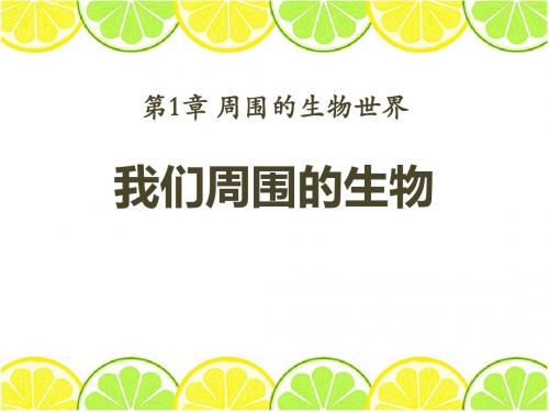 《我们周围的生物》PPT精品教学课件