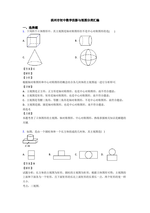 滨州市初中数学投影与视图分类汇编