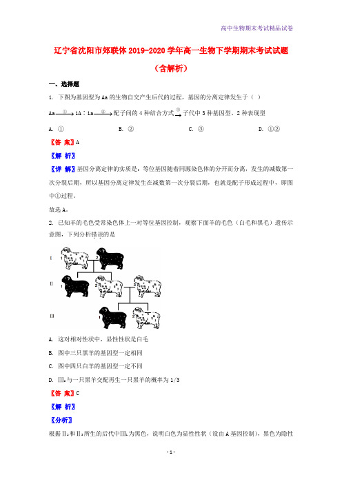 2019-2020学年辽宁省沈阳市郊联体高一生物下学期期末考试生物试题含解析