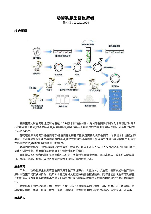 动物乳腺生物反应器