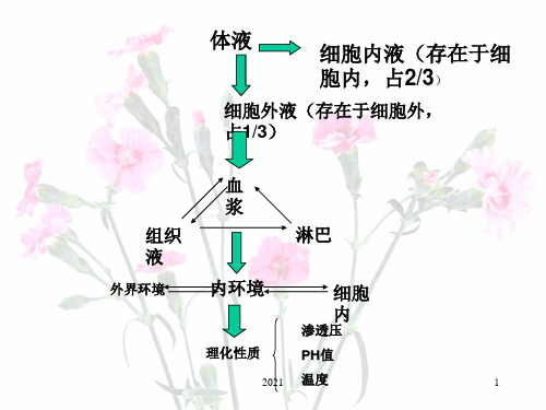 稳态与环境学业水平考试复习PPT课件