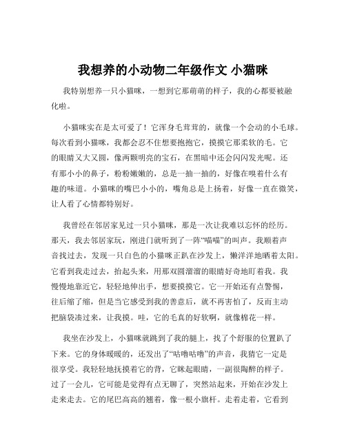 我想养的小动物二年级作文 小猫咪