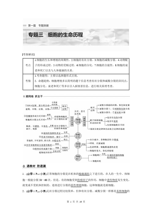 2023届高考生物二轮复习专题3 考点1 有丝分裂与减数分裂及相关比较-讲义(通用版)