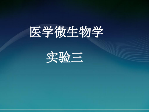 医学微生物学：实验三 微生物的代谢产物及致病作用