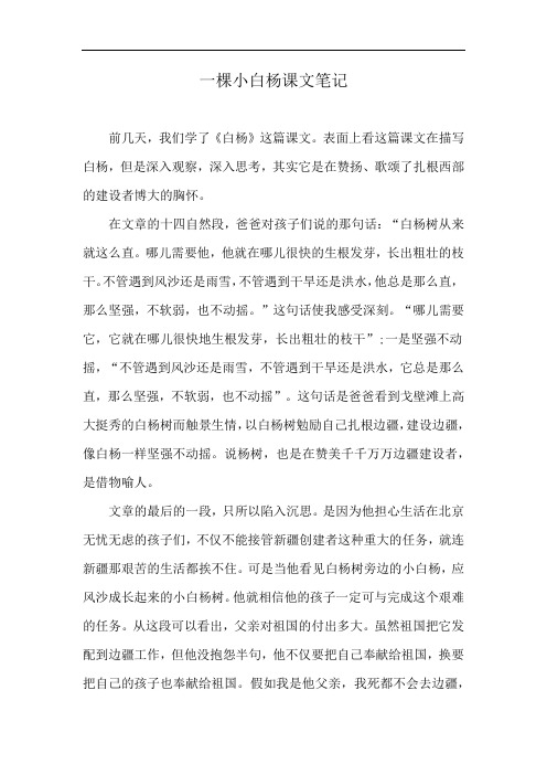 一棵小白杨课文笔记