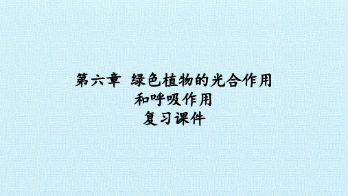 苏教版七年级生物上册：第六章  绿色植物的光合作用和呼吸作用  复习课件