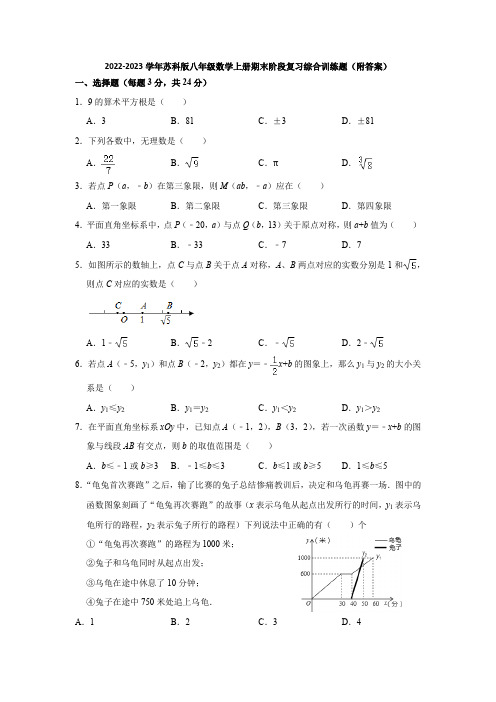 2022-2023学年苏科版八年级数学上册期末阶段复习综合训练题(附答案)