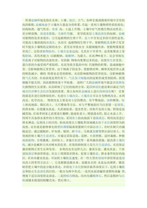排盐工程内容 文档