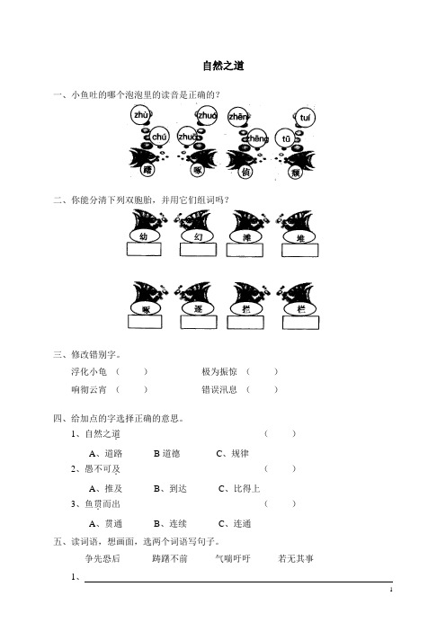 小学四年级语文《9自然之道》同步练习(含答案)