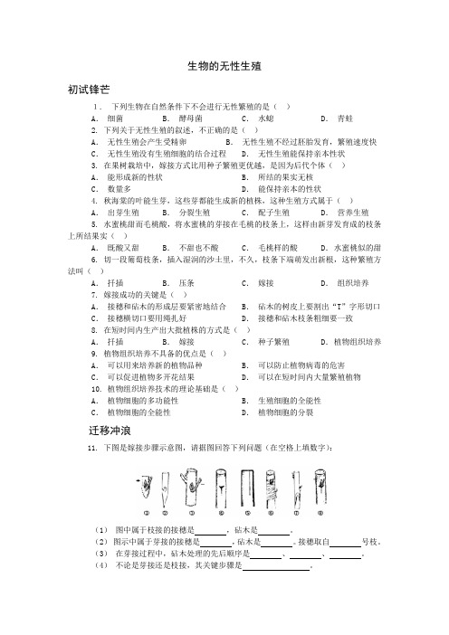 苏教版生物八年级下册生物的无性生殖