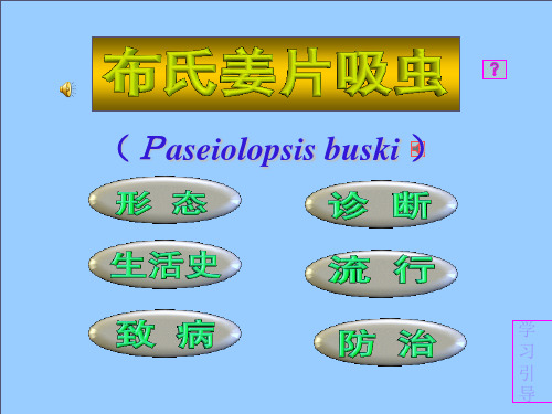 布氏姜片虫课件_1