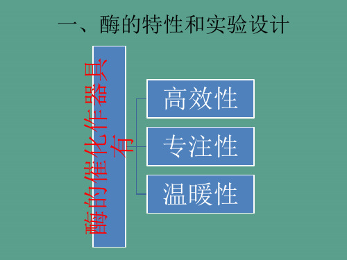 酶的催化作用特性及实验的设计ppt课件