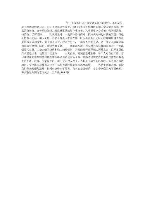 我与消防作文500字