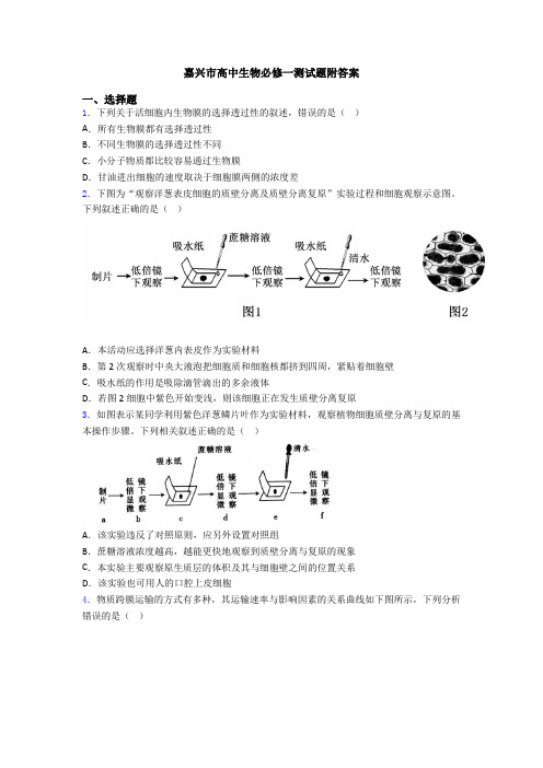 嘉兴市高中生物必修一测试题附答案